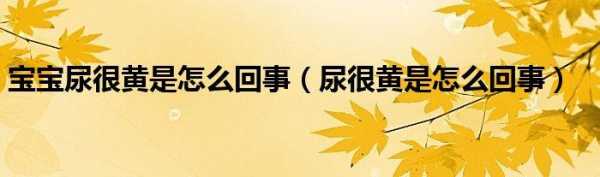 孕期尿特别黄(孕期尿特别黄怎么回事) 第2张 孕期尿特别黄(孕期尿特别黄怎么回事) 第2张