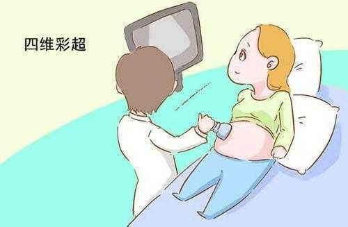 整个孕期胎儿都不爱动(整个孕期胎儿都不爱动 检查都正常) 第1张 整个孕期胎儿都不爱动(整个孕期胎儿都不爱动 检查都正常) 第1张