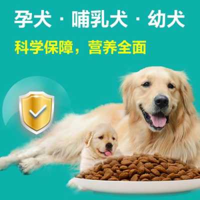 狗狗怀孕期(狗狗怀孕期间吃什么最好) 第1张 狗狗怀孕期(狗狗怀孕期间吃什么最好) 第1张
