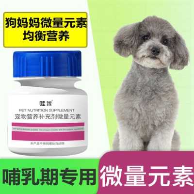 狗狗怀孕期(狗狗怀孕期间吃什么最好) 第3张 狗狗怀孕期(狗狗怀孕期间吃什么最好) 第3张