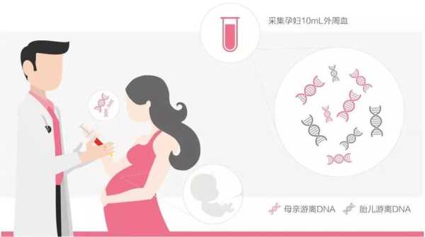 怎么预防胎儿脐膨出(怎么预防胎儿脐膨出) 第2张 怎么预防胎儿脐膨出(怎么预防胎儿脐膨出) 第2张