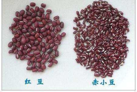 孕期吃红小豆（怀孕可以吃黑豆，红豆吗）  第2张
