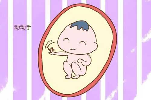 孕妇侧躺胎儿胎动活跃(孕妇侧躺胎儿胎动活跃正常吗) 第1张 孕妇侧躺胎儿胎动活跃(孕妇侧躺胎儿胎动活跃正常吗) 第1张