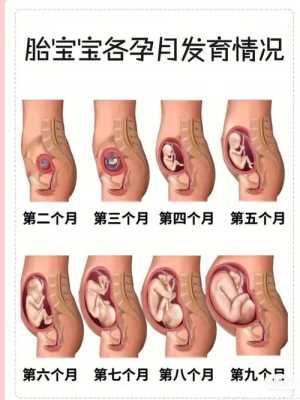胎儿在肚子里的温度(胎儿在肚子里的温度是多少) 第1张 胎儿在肚子里的温度(胎儿在肚子里的温度是多少) 第1张