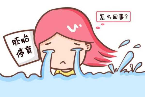 胎停育的症状有哪些,孕期胎停症状有哪些 第1张 胎停育的症状有哪些,孕期胎停症状有哪些 第1张