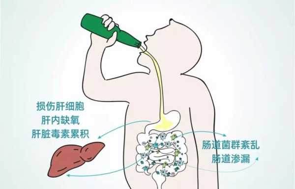 庆祝生孩子喝酒词,准爸爸喝酒影响胎儿吗知乎  第2张