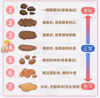 怀孕后大便次数多怎么回事,孕期排便次数多正常吗 第2张 怀孕后大便次数多怎么回事,孕期排便次数多正常吗 第2张