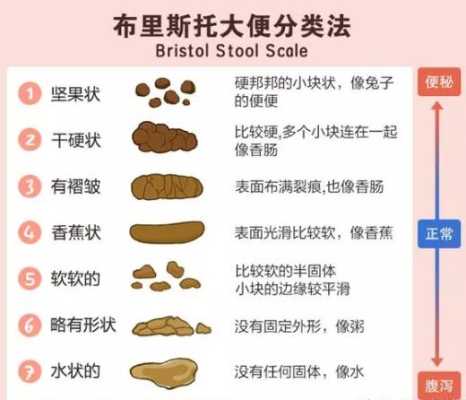 怀孕后大便次数多怎么回事,孕期排便次数多正常吗 第3张 怀孕后大便次数多怎么回事,孕期排便次数多正常吗 第3张