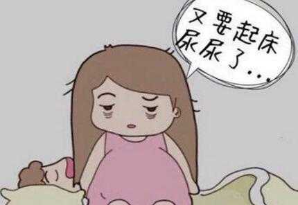 孕期尿频尿不尽(孕期尿频尿不尽感觉总有尿意) 第2张 孕期尿频尿不尽(孕期尿频尿不尽感觉总有尿意) 第2张