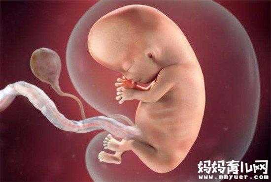 孕34周，胎儿腿短怎么办,胎儿腿短吃什么可以补起来  第1张