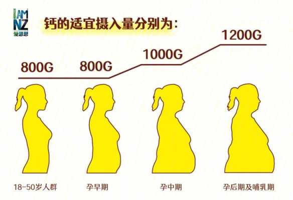 孕期需要多少钙(孕期需要多少钙量) 第2张 孕期需要多少钙(孕期需要多少钙量) 第2张