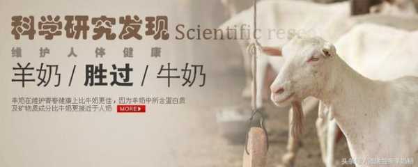 喝羊奶会使胎儿过大吗(喝羊奶会使胎儿过大吗知乎) 第1张 喝羊奶会使胎儿过大吗(喝羊奶会使胎儿过大吗知乎) 第1张