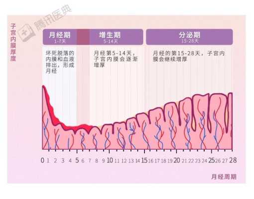 怀孕初期内膜厚多少,孕期内膜厚度多少算正常 第2张 怀孕初期内膜厚多少,孕期内膜厚度多少算正常 第2张