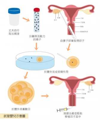 胎儿着床是什么时候(试管婴儿移植几天着床) 第2张 胎儿着床是什么时候(试管婴儿移植几天着床) 第2张