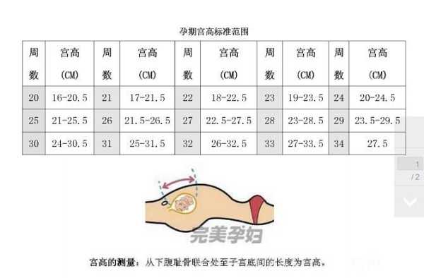 腹围105是多少厘米,胎儿腹围周长怎么计算公式 第3张 腹围105是多少厘米,胎儿腹围周长怎么计算公式 第3张