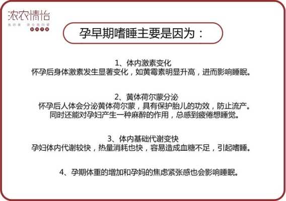 孕期嗜睡正常吗(孕晚期嗜睡正常么) 第1张 孕期嗜睡正常吗(孕晚期嗜睡正常么) 第1张