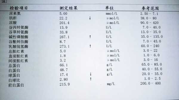 血清检查都能查出什么病,孕期血清检查什么时候做合适 第3张 血清检查都能查出什么病,孕期血清检查什么时候做合适 第3张