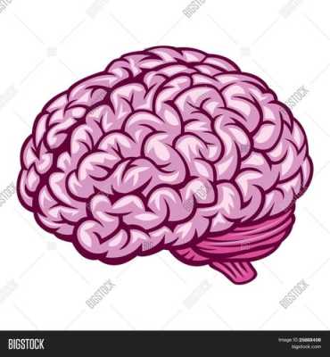 怀孕79天胎儿多大图片(79天的宝宝会什么技能) 第2张 怀孕79天胎儿多大图片(79天的宝宝会什么技能) 第2张