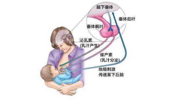 孕晚期，乳头能挤出水来吗,孕期乳头挤出水怎么办  第2张