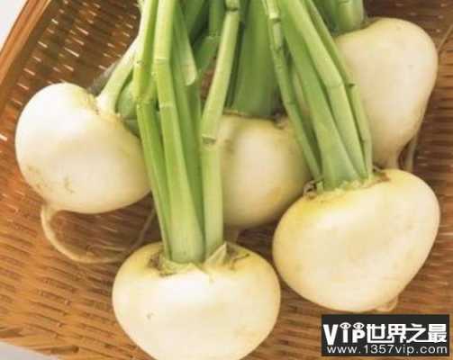 孕期吃了萝卜后不舒服的情况,有什么不好的问题的,孕期吃的不好,宝宝出生容易生病吗 第2张 孕期吃了萝卜后不舒服的情况,有什么不好的问题的,孕期吃的不好,宝宝出生容易生病吗 第2张
