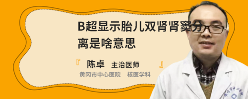 胎儿双肾肾窦分离是否严重,胎儿双肾窦轻度分离是什么意思 第3张 胎儿双肾肾窦分离是否严重,胎儿双肾窦轻度分离是什么意思 第3张