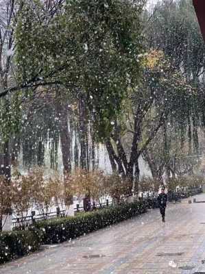 下雨或下雪、或雨夹雪结婚好了,怎么解释,孕期梦见下大雪什么预兆 第2张 下雨或下雪、或雨夹雪结婚好了,怎么解释,孕期梦见下大雪什么预兆 第2张