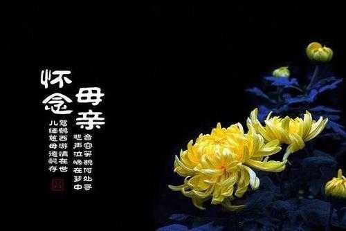 用胎组词,怎样让堕胎儿再来投胎呢 第3张 用胎组词,怎样让堕胎儿再来投胎呢 第3张