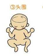 八个月小宝宝头围标准多少?我家小宝宝八个月,头围是41CM,怀孕8周胎儿发育标准图片 第2张 八个月小宝宝头围标准多少?我家小宝宝八个月,头围是41CM,怀孕8周胎儿发育标准图片 第2张