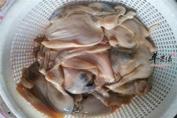 十一个月宝宝可以吃河蚌吗,孕妇吃河蚌对胎儿好吗有影响吗 第1张 十一个月宝宝可以吃河蚌吗,孕妇吃河蚌对胎儿好吗有影响吗 第1张