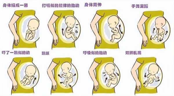 怀孕八个月了胎动鼓包一摸还可硬是怎么回事,孕8个周胎儿图片大全 第2张 怀孕八个月了胎动鼓包一摸还可硬是怎么回事,孕8个周胎儿图片大全 第2张