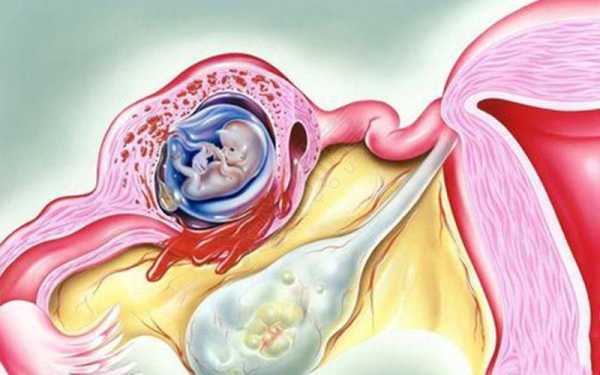 怀孕期多久(怀孕期多久生孩子) 第1张 怀孕期多久(怀孕期多久生孩子) 第1张