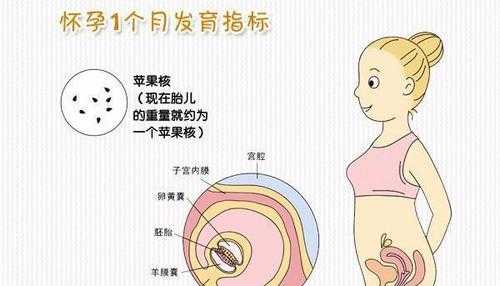 怀孕期多久(怀孕期多久生孩子) 第2张 怀孕期多久(怀孕期多久生孩子) 第2张