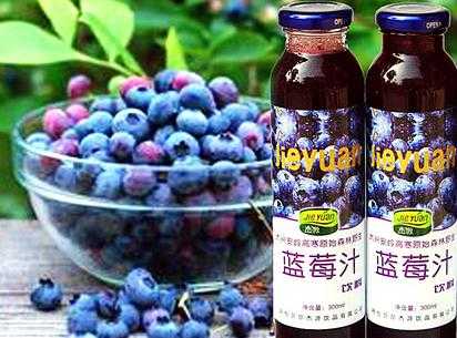 孕妇吃蓝莓好吗?怀孕中期能吃的水果有哪些,孕期喝蓝莓汁的好处 第1张 孕妇吃蓝莓好吗?怀孕中期能吃的水果有哪些,孕期喝蓝莓汁的好处 第1张