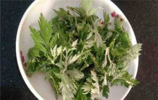 孕期能吃艾草吗(孕期可以吃艾草吗) 第3张 孕期能吃艾草吗(孕期可以吃艾草吗) 第3张