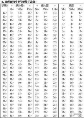 24周胎儿眼距标准(24周胎儿眼距标准) 第1张 24周胎儿眼距标准(24周胎儿眼距标准) 第1张