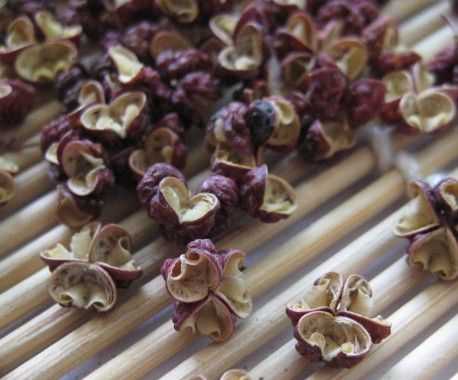 怀孕吃花椒对胎儿智力(怀孕吃花椒对胎儿智力有影响吗) 第1张 怀孕吃花椒对胎儿智力(怀孕吃花椒对胎儿智力有影响吗) 第1张