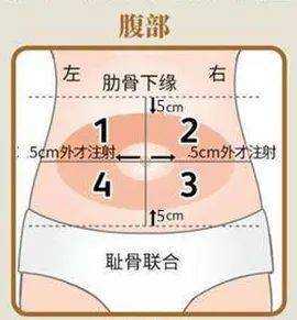31周胎儿发育标准图片（促胎儿肺成熟针打多久？不打会怎么样）  第2张