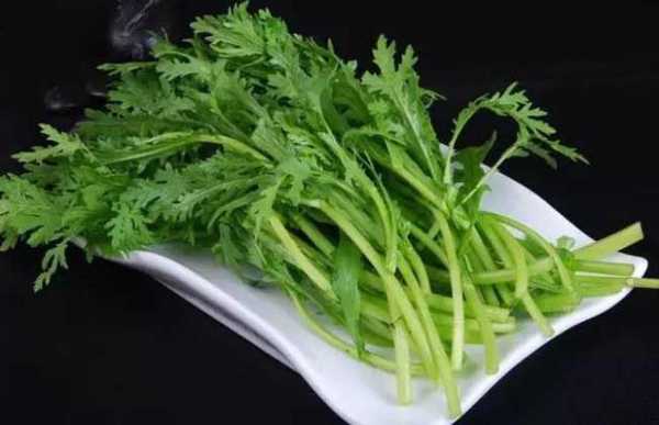 孕期能吃茼蒿吗(痛风能不能吃茼蒿吗) 第3张 孕期能吃茼蒿吗(痛风能不能吃茼蒿吗) 第3张