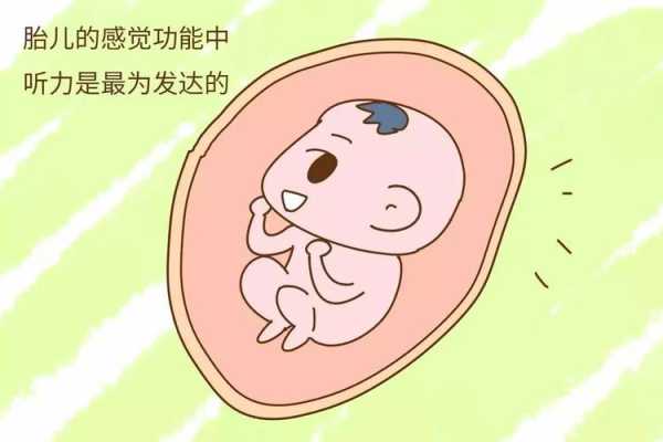 胎儿对爸爸会有感应吗(2岁孩子能感应到妈妈吗) 第1张 胎儿对爸爸会有感应吗(2岁孩子能感应到妈妈吗) 第1张