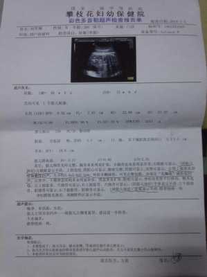 胎儿肾脏偏大可以要吗（胎儿肾脏偏大可以要吗）  第1张