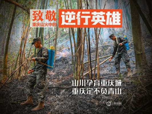 发宝宝视频文案吸引人的句子,怀孕3个月胎儿视频直播 第1张 发宝宝视频文案吸引人的句子,怀孕3个月胎儿视频直播 第1张