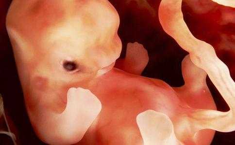 怀孕20周了能做人流吗,孕2o周胎儿样子图片 第3张 怀孕20周了能做人流吗,孕2o周胎儿样子图片 第3张