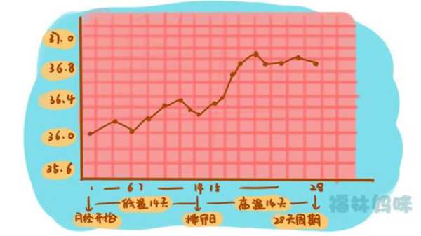 受孕期的体温(受孕期的体温变化) 第1张 受孕期的体温(受孕期的体温变化) 第1张