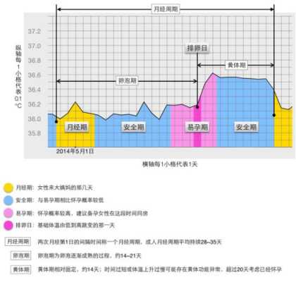 受孕期的体温(受孕期的体温变化) 第2张 受孕期的体温(受孕期的体温变化) 第2张