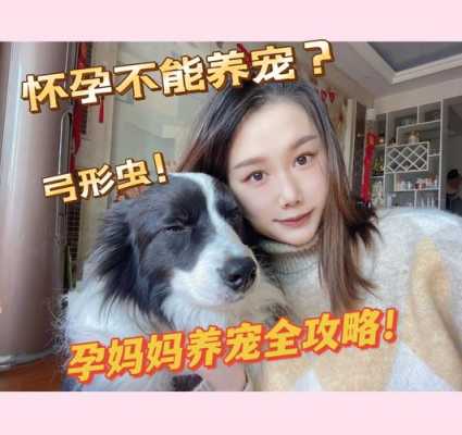孕期科学养狗(孕妇科学养狗) 第1张 孕期科学养狗(孕妇科学养狗) 第1张