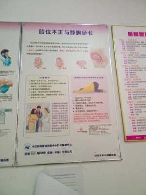 32周检查胎位不正怎么办,32周胎儿臀位怎么调整 第1张 32周检查胎位不正怎么办,32周胎儿臀位怎么调整 第1张