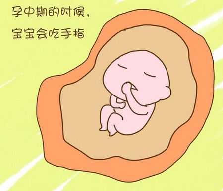 怎么叫醒肚子里的宝宝,怎么弄醒肚子中的胎儿呢 第1张 怎么叫醒肚子里的宝宝,怎么弄醒肚子中的胎儿呢 第1张