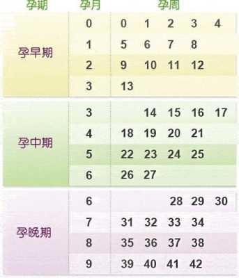 孕期从哪天算(孕期从哪天算第一天) 第3张 孕期从哪天算(孕期从哪天算第一天) 第3张