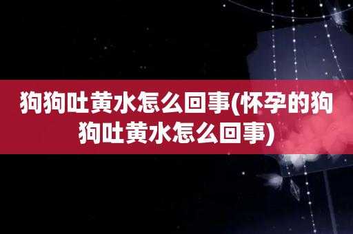 怀孕吐黄水要治疗吗,孕期呕吐黄水发苦是什么原因  第2张