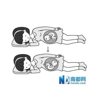 为什么胎儿喜欢臀位呢(37周宝宝在肚子里的姿势) 第1张 为什么胎儿喜欢臀位呢(37周宝宝在肚子里的姿势) 第1张